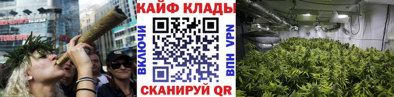 Какие есть наркотики Бавлы Псилоцибиновые грибы Альфа ПВП Экстази Амфетамин Бошки Шишки Меф мяу мяу ГАШИШ Кокаин