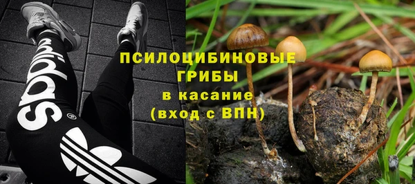 apvp Нязепетровск
