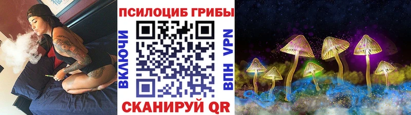 Псилоцибиновые грибы Magic Shrooms  цены   Бавлы 